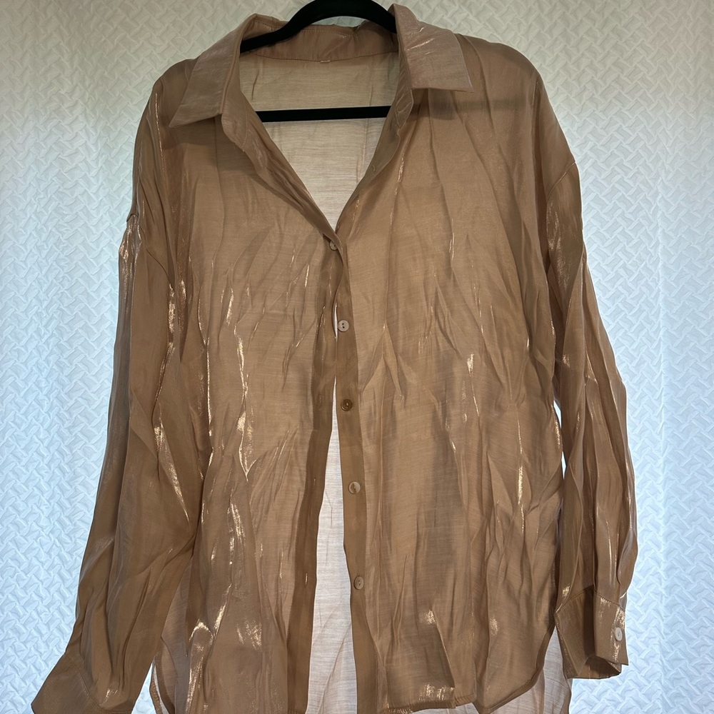 Shiny Peachy Nude Button-Up Blouse